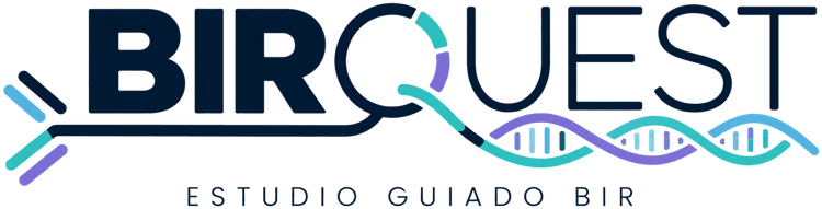 BIRQuest · Estudio guiado BIR